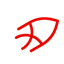 sakana