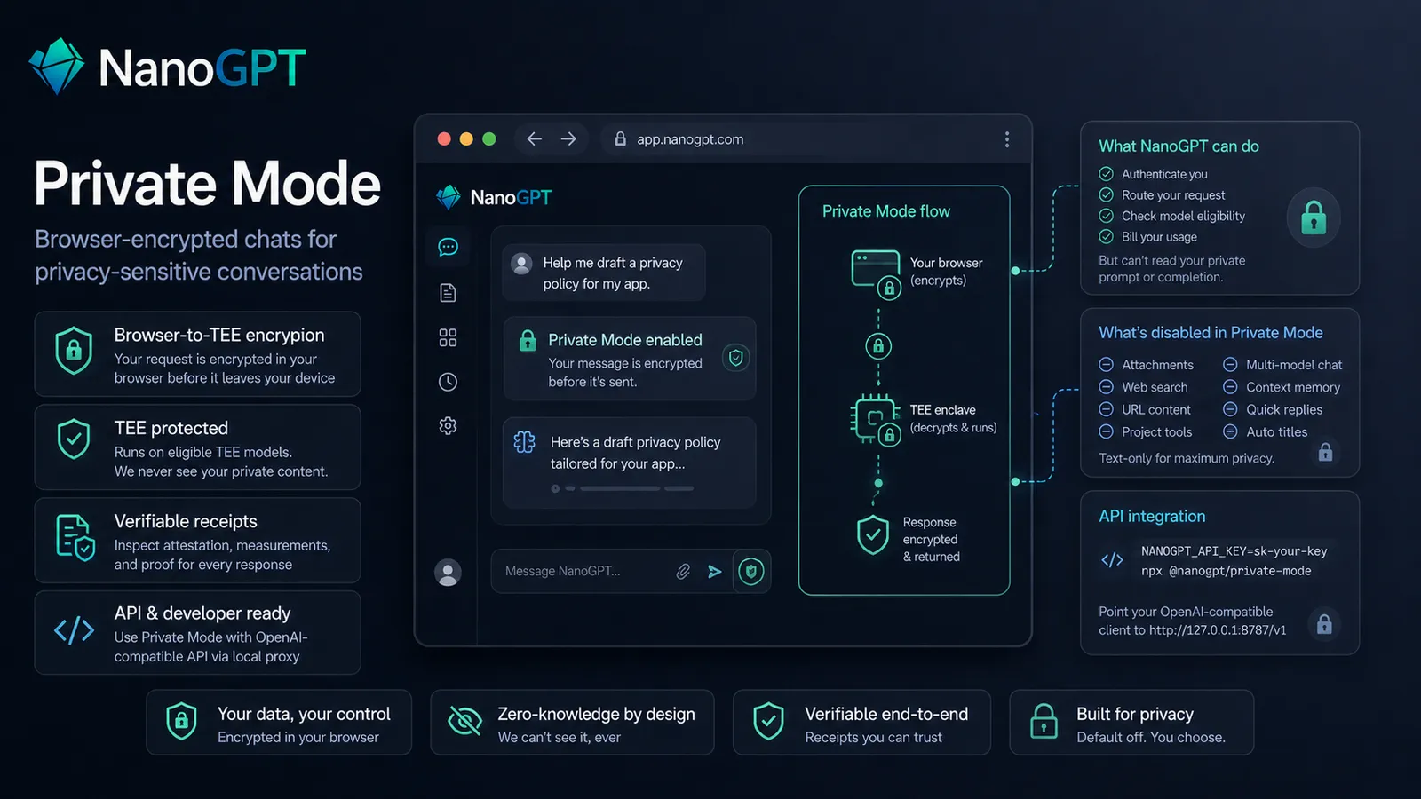 NanoGPT Private Mode overview